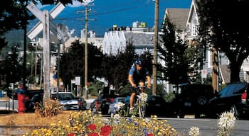 Kitsilano mostrando flores, cenas de rua e ciclismo urbano