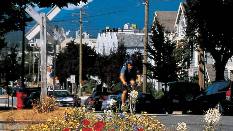 Kitsilano featuring flowers, street scenes and road cycling
