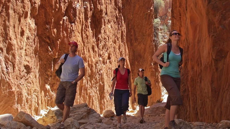 Standley Chasm featuring hiking or walking and a gorge or canyon as well as a small group of people