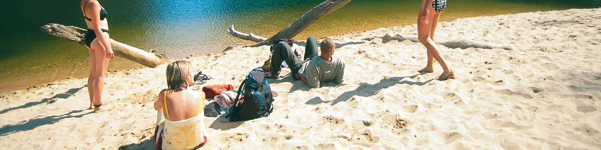 Ellery Creek Big Hole which includes a sandy beach and general coastal views as well as a small group of people