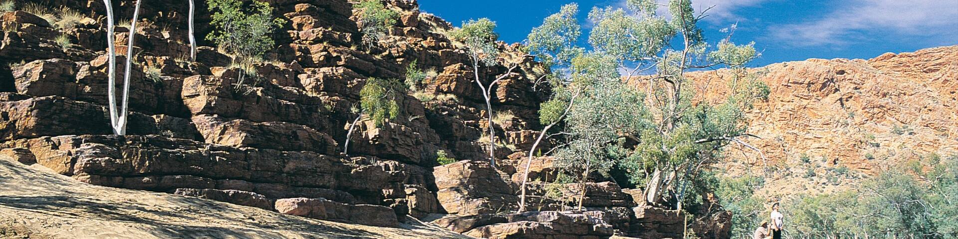 Alice Springs featuring a gorge or canyon, a lake or waterhole and landscape views