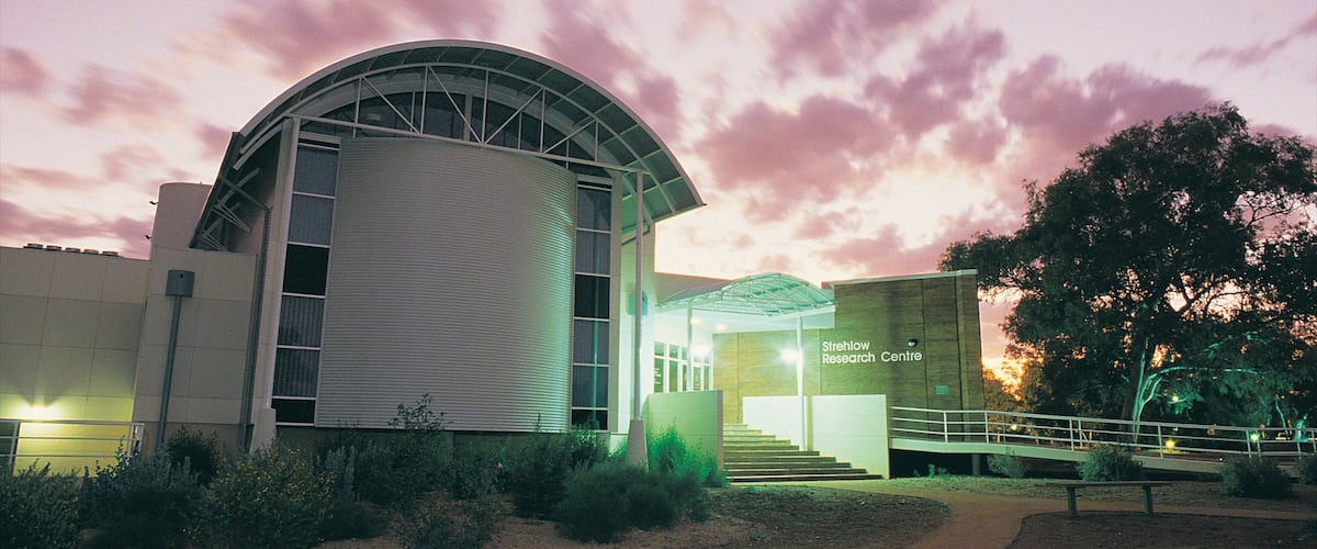 Araluen Cultural Precinct showing a sunset, modern architecture and aircraft