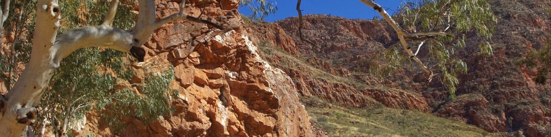 Alice Springs ofreciendo senderismo o caminata, un lago o abrevadero y un barranco o cañón