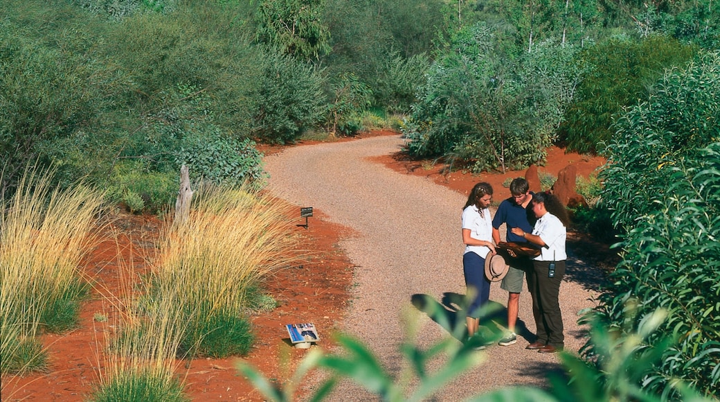 Photo provided by Tourism NT