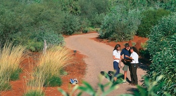 Alice Springs Desert Park which includes a garden and desert views as well as a small group of people