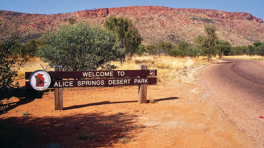 Taman Gurun Alice Springs