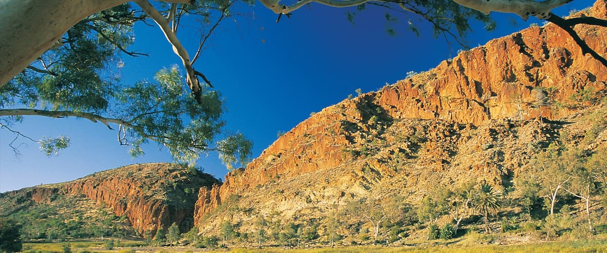 Alice Springs showing a gorge or canyon and desert views