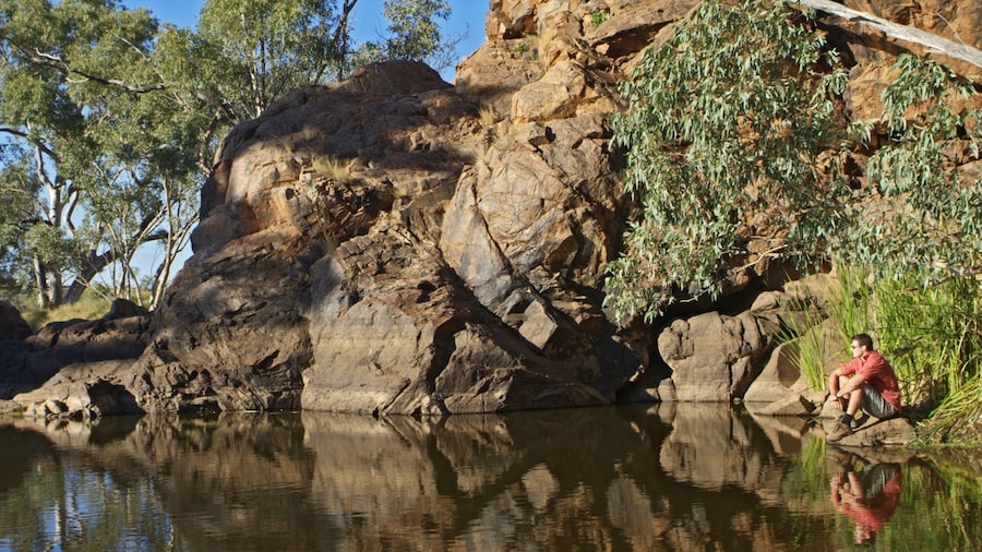 Alice Springs showing a lake or waterhole as well as an individual male
