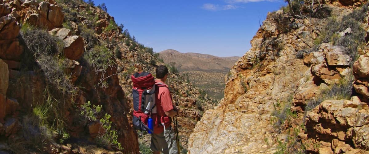Alice Springs showing hiking or walking as well as an individual male