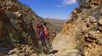 Alice Springs featuring hiking or walking as well as an individual male