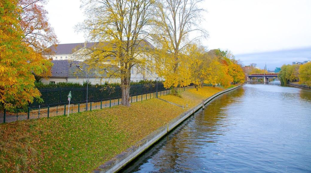 Palacio de Bellevue mostrando hojas de otoño, un río o arroyo y un puente