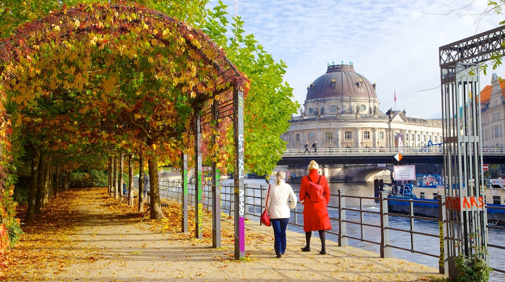 Bode-Museum welches beinhaltet Garten, Herbstblätter und historische Architektur