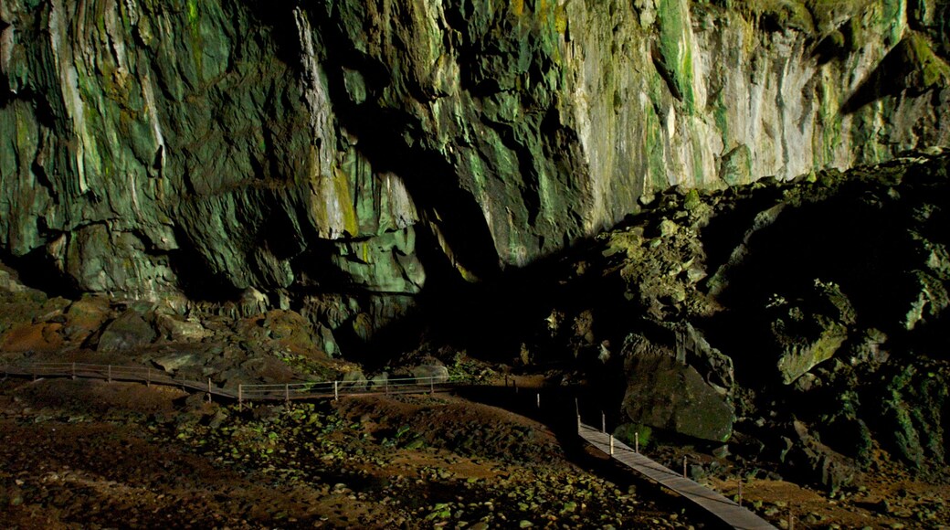 Gunung Mulu National Park which includes a garden and caves