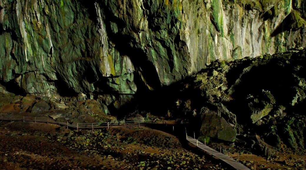 Gunung Mulu National Park which includes a park and caves