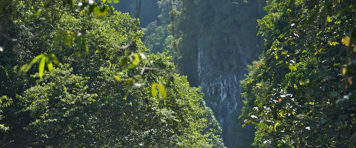 Parc national de Gunung Mulu