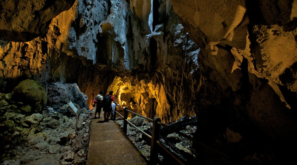 Gunung Mulu National Park featuring caving, interior views and caves