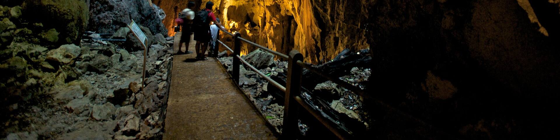 Gunung Mulu National Park featuring caving, interior views and caves