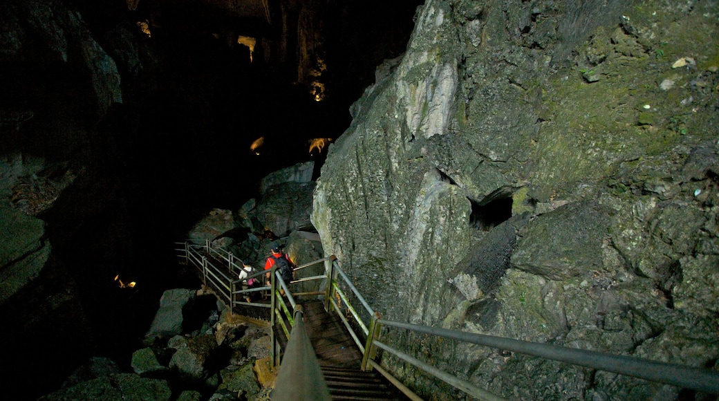 Gunung Mulu National Park which includes caving, interior views and caves