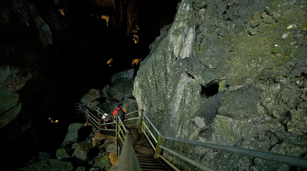 Gunung Mulu National Park featuring caving, caves and interior views