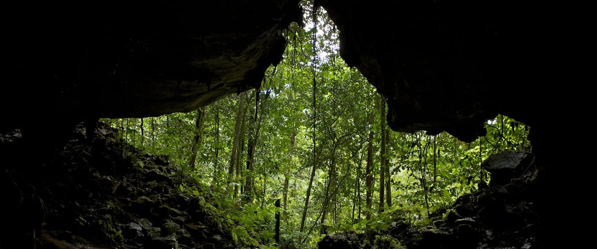 Gunung Mulu National Park featuring caves and rainforest