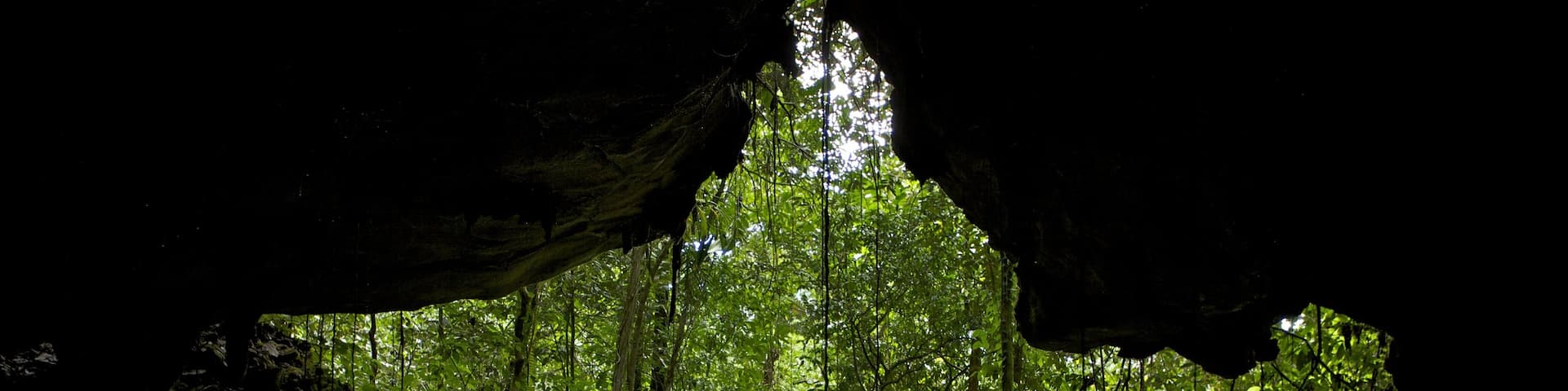 Gunung Mulu National Park featuring rainforest and caves