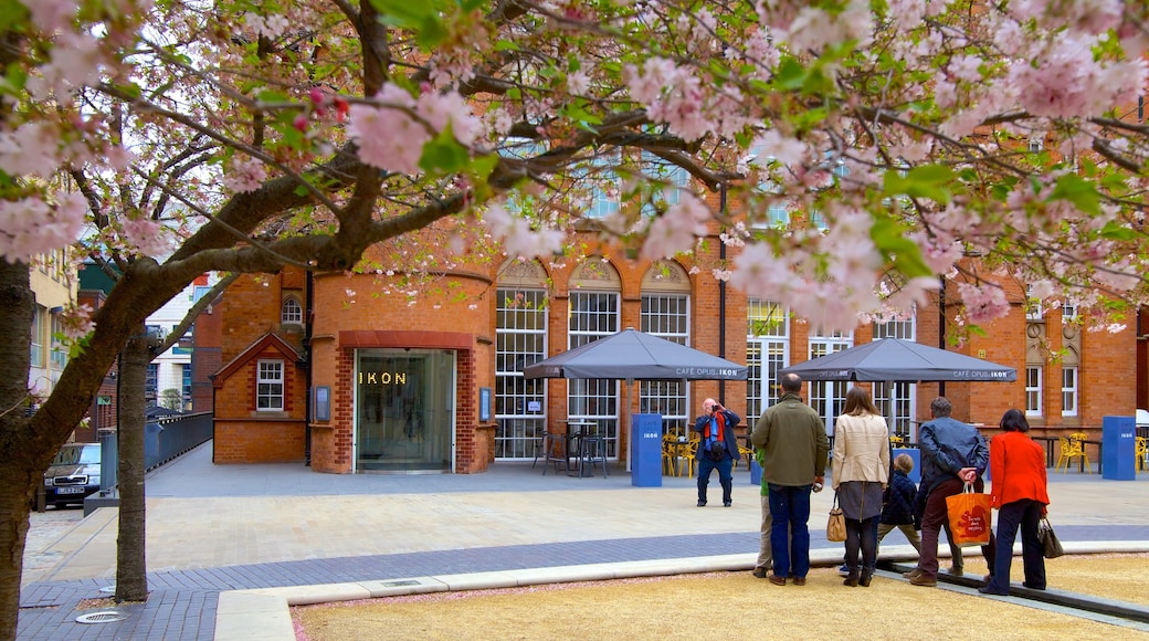 Ikon Gallery which includes a square or plaza, flowers and a city