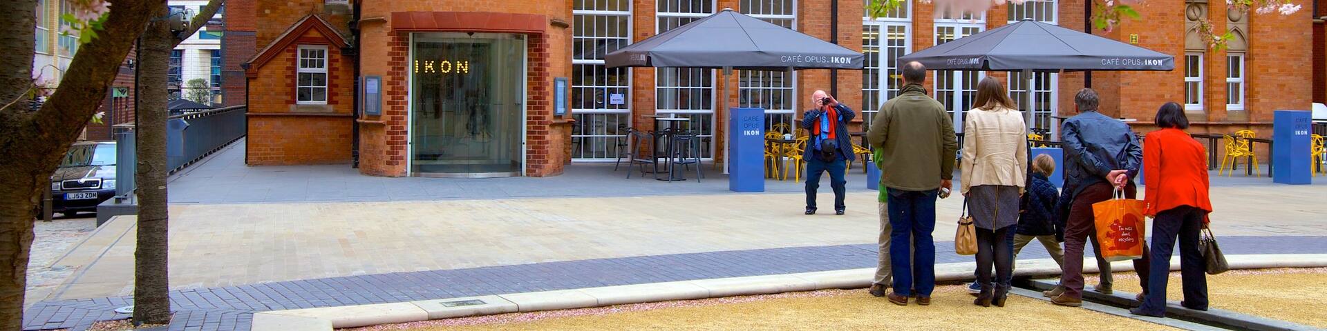 Ikon Gallery showing flowers, a city and heritage architecture