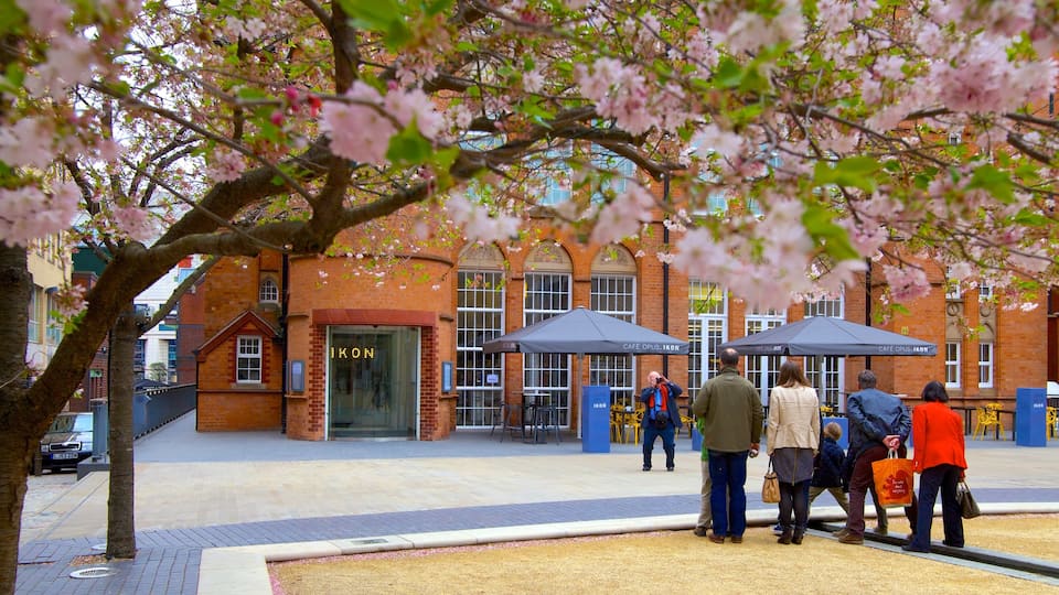 Ikon Gallery which includes a square or plaza, flowers and a city