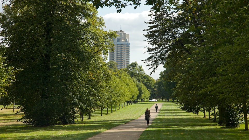 Kensington Gardens showing a garden