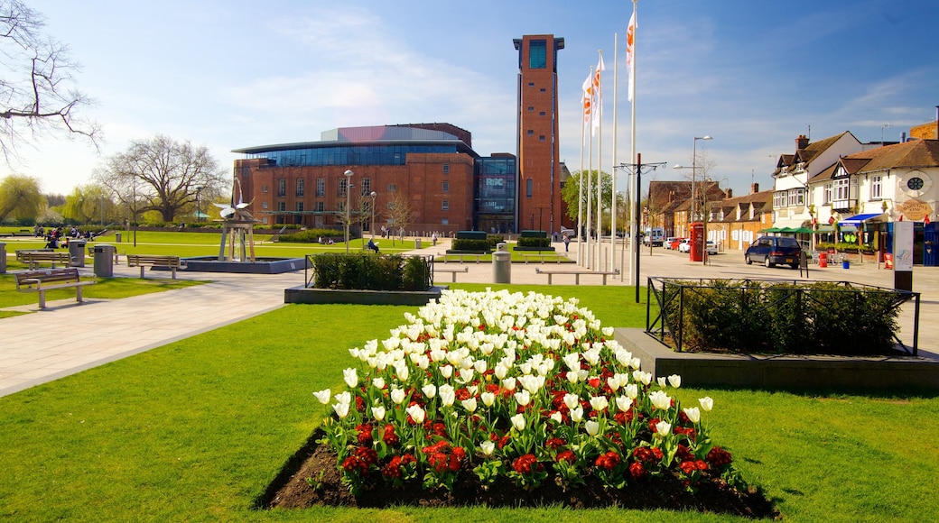 Birmingham showing a park and flowers