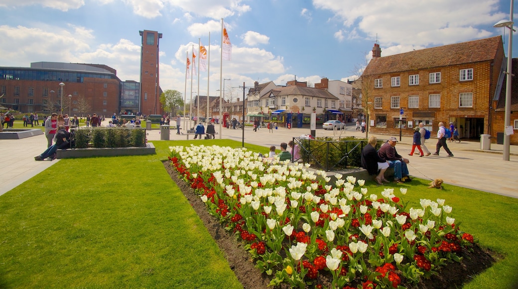 Birmingham welches beinhaltet Platz oder Plaza, Haus und Stadt