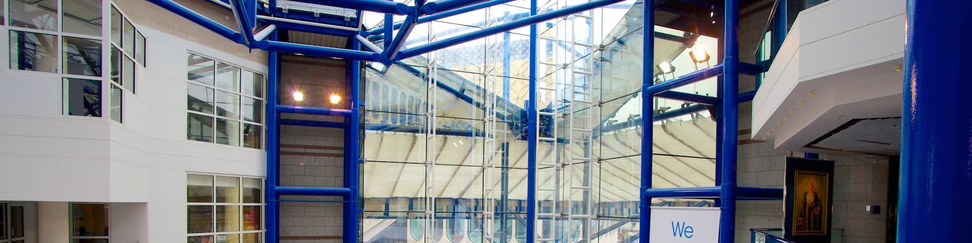 International Convention Centre showing interior views and modern architecture