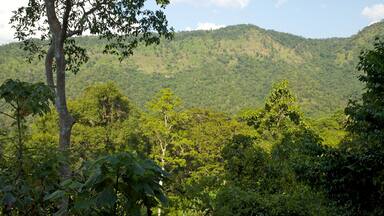 Erawan National Park which includes forest scenes and mountains