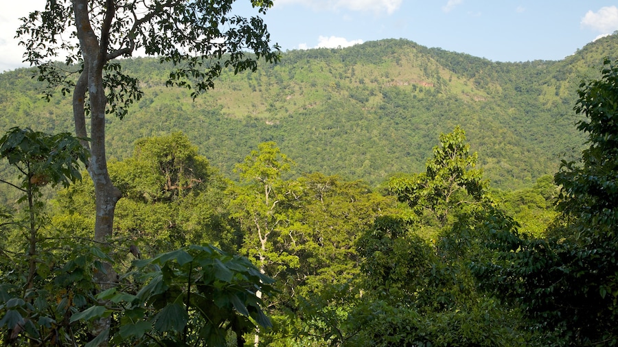 Kanchanaburi Province which includes forest scenes and mountains