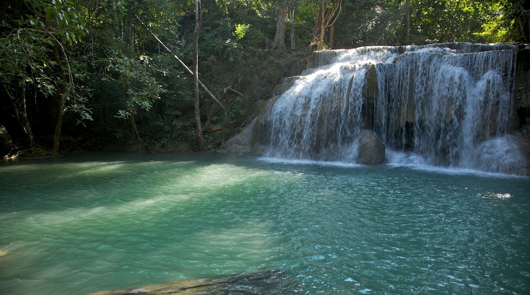 อุทยานแห่งชาติเอราวัณ แสดง ทิวทัศน์ป่า, น้ำตก และ แม่น้ำหรือลำธาร