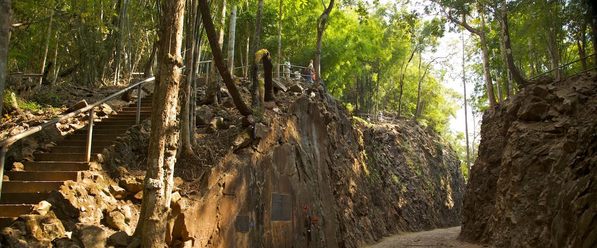 Kanchanaburi featuring forest scenes