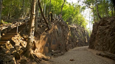 Kanchanaburi which includes forests