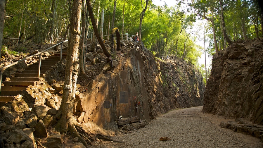 Kanchanaburi mostrando imágenes de bosques