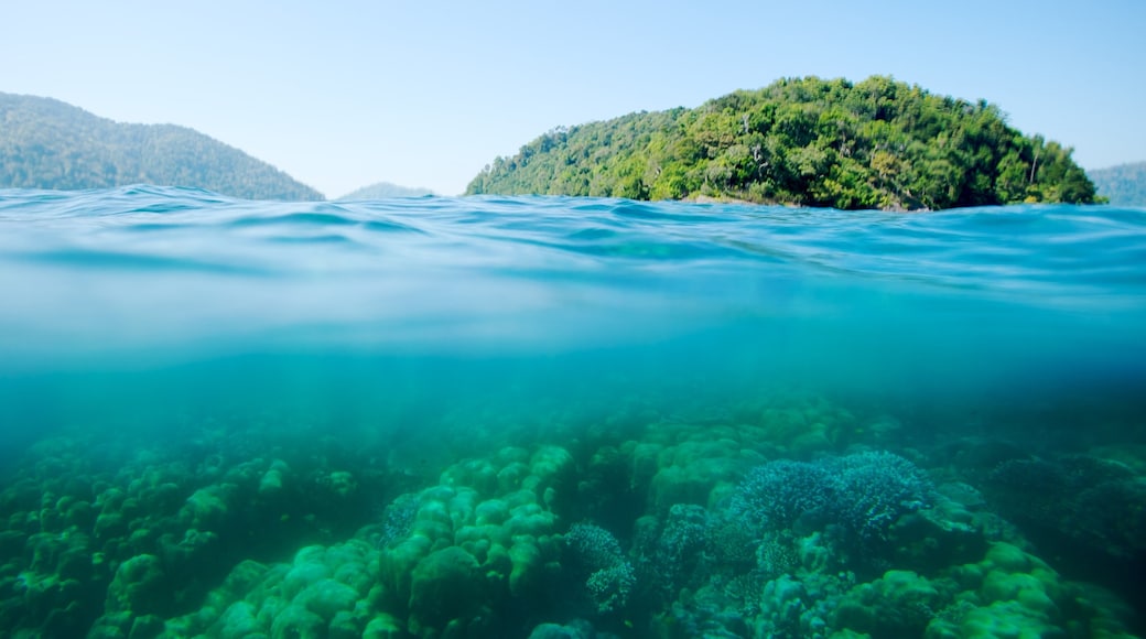 Ko Surin National Park featuring colourful reefs and general coastal views