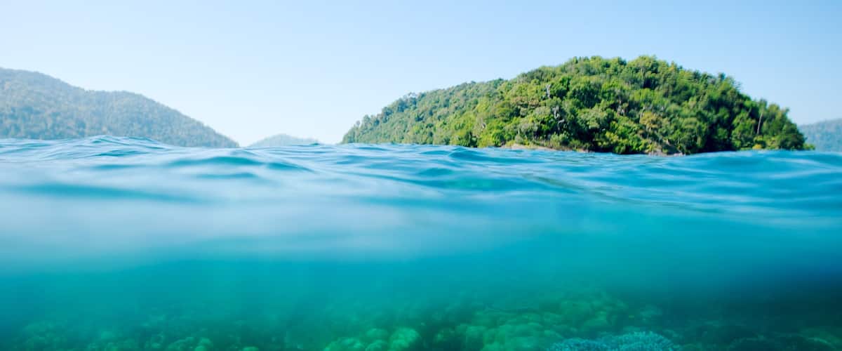 อุทยานแห่งชาติเกาะสุรินทร์ แสดง ปะการัง และ ชายฝั่งทะเล