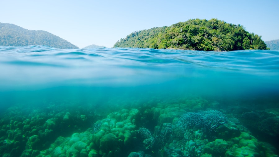 Parque Nacional de Ko Surin ofreciendo vistas de una costa y coral