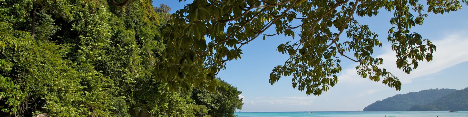 Ko Surin National Park showing general coastal views, tropical scenes and a beach