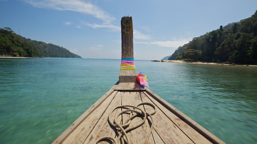 Ko Surin National Park showing boating and general coastal views