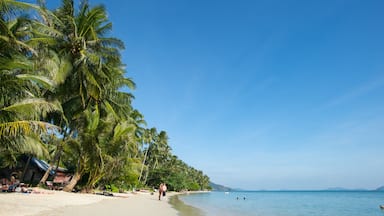 Thailand bevat tropische uitzichten, algemene kustgezichten en een zandstrand