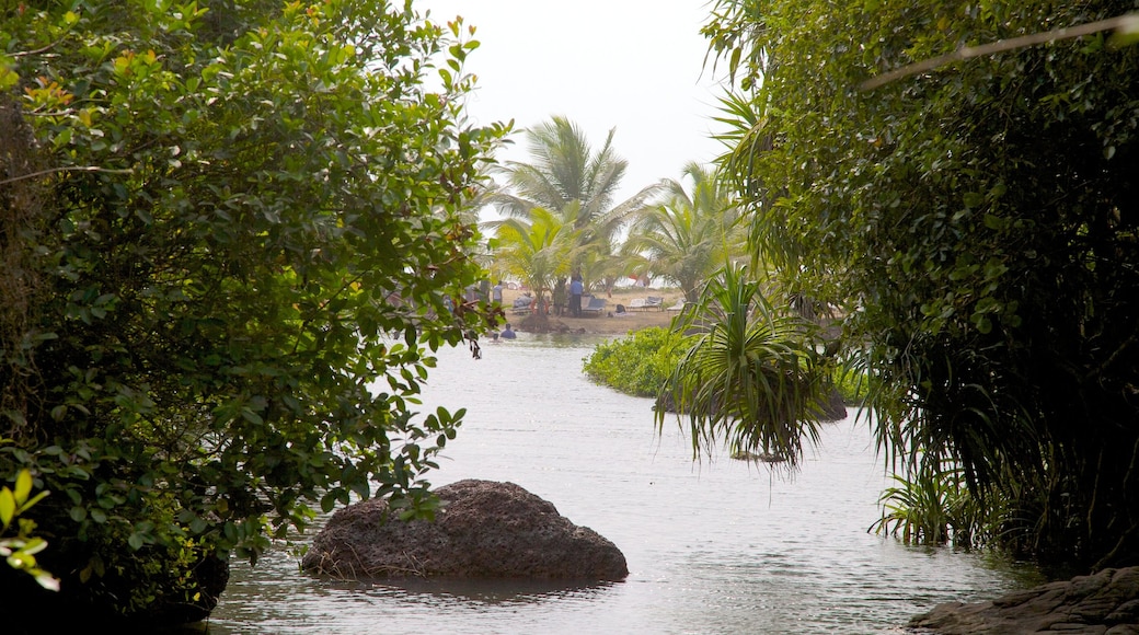 Arambol Sweet Water Lake which includes a lake or waterhole