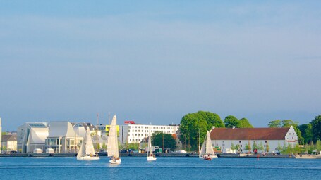 Aalborg Harbour showing a coastal town, sailing and a bay or harbor
