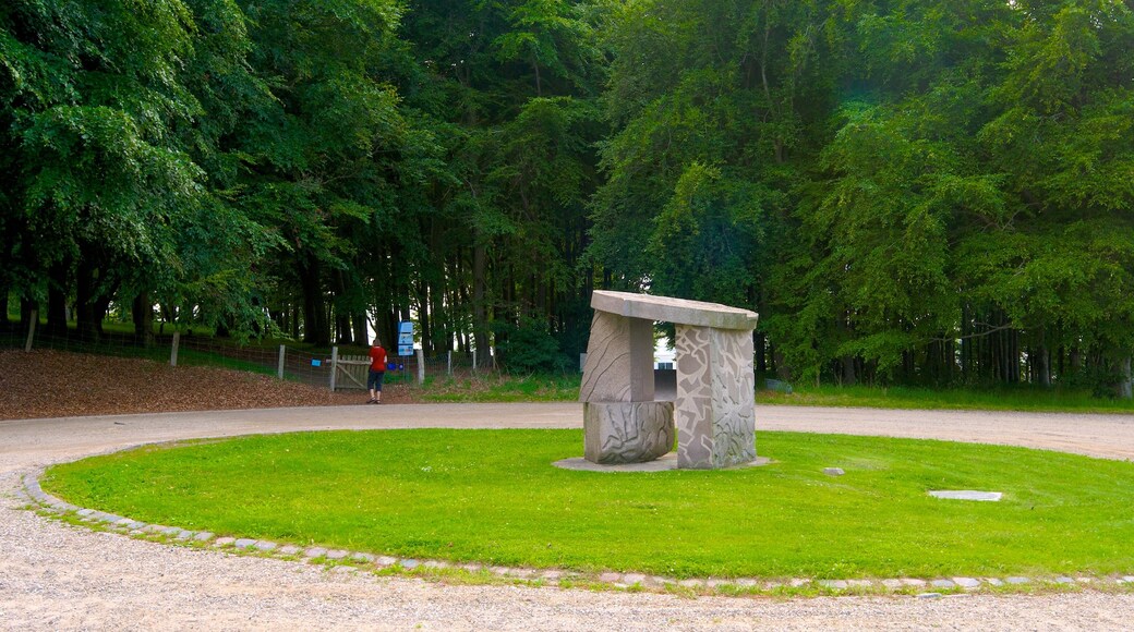 Cementerio vikingo Lindholm Hoje que incluye un jardín