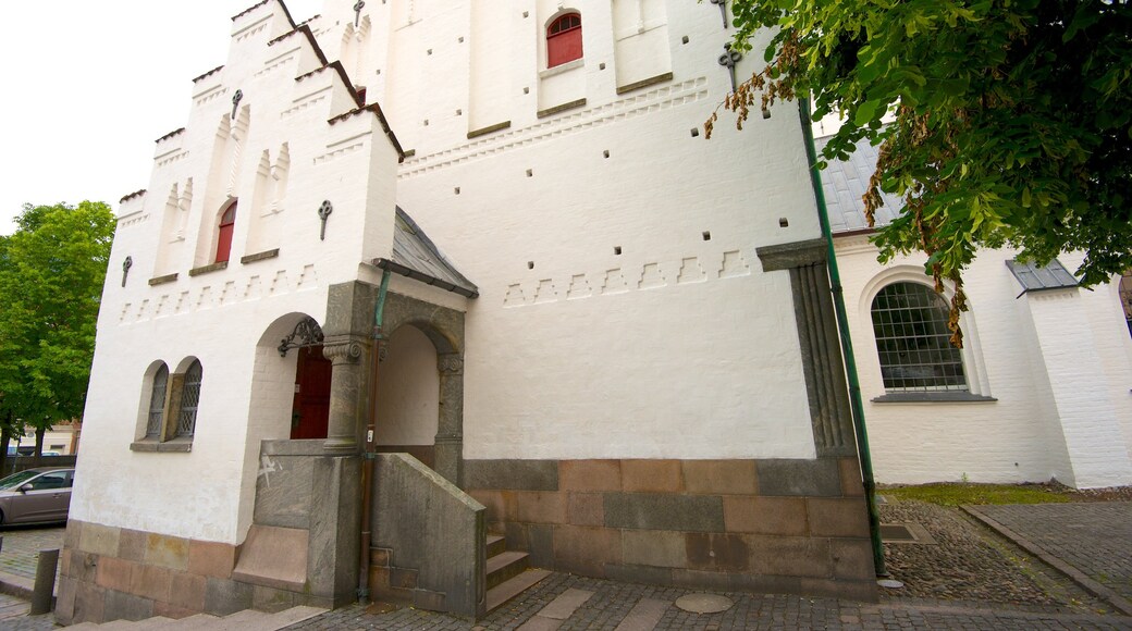 Sct. Budolfi Domkirke welches beinhaltet historische Architektur und Kirche oder Kathedrale