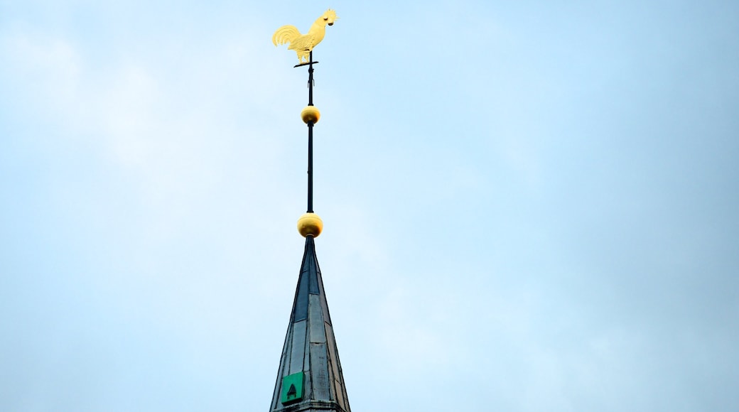 Budolfi-katedralen som inkluderar en kyrka eller katedral