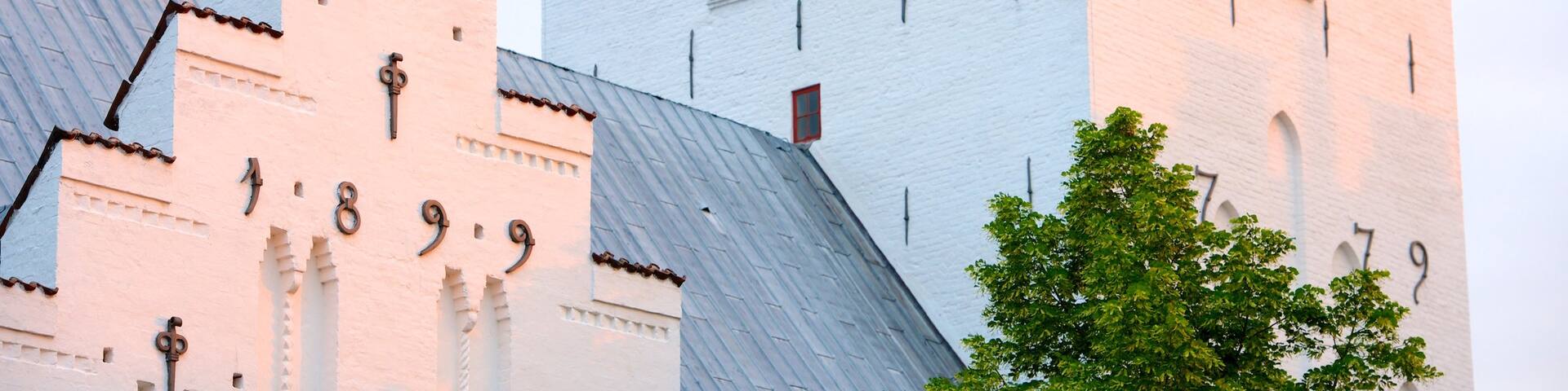 Sct. Budolfi Domkirke das einen historische Architektur und Kirche oder Kathedrale